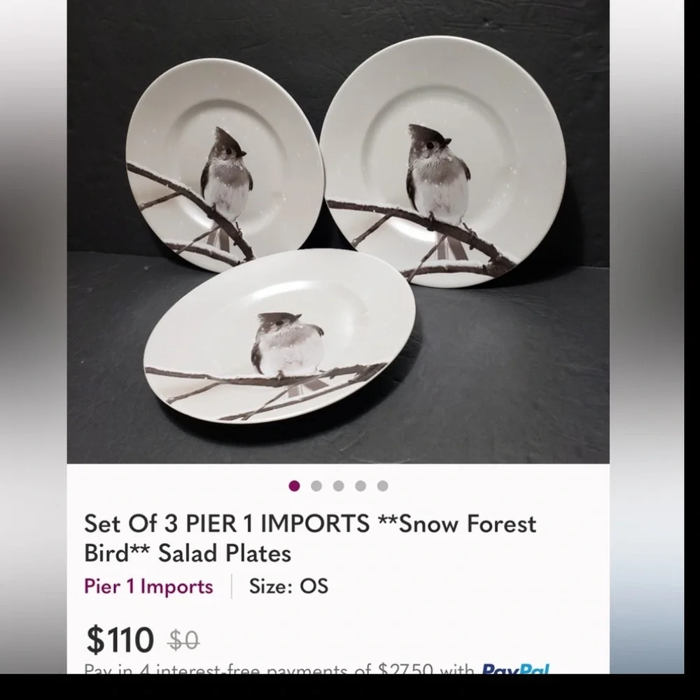 Pier 1 Winter Snowy Tufted Titmouse Bird on a Branch. Salad/ Accent Plate
